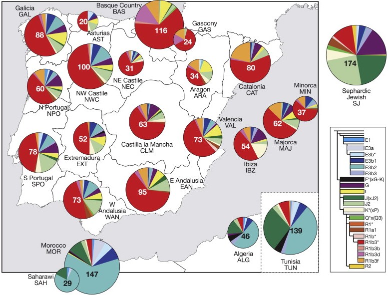 ¿Cómo es la composición genética de los españoles?...El español es un pueblo muy homogéneo..No hay diferencias.... Externo-7947c2d41919f2488bfae908e48d78f8